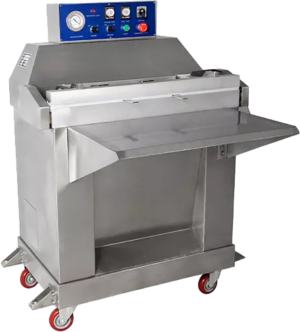 Μηχανή συσκευασίας κενού DZ-800W