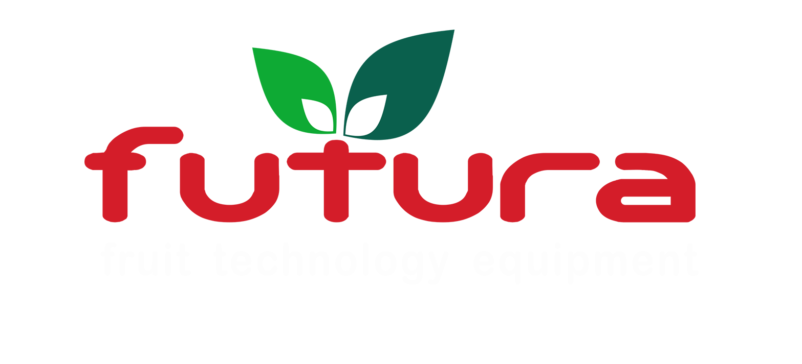 logo futura x